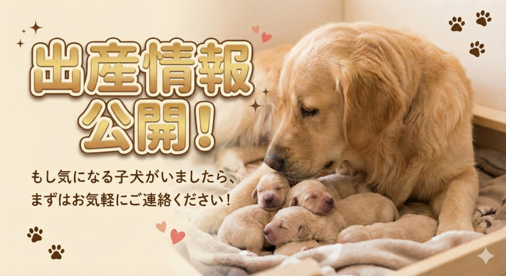 ゴールデンレトリバーの親子