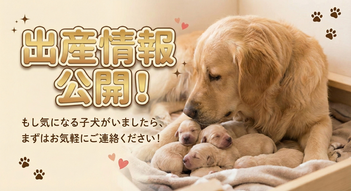 新機能】「出産情報ページ」を公開しました！｜クシマスターズ