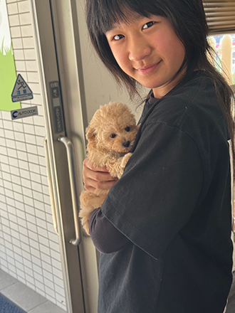 宮崎県日南市在住のお客様とトイプードル